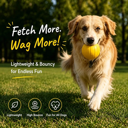 Multi Color EVA Dog Ball with Hole Durable Floating Interactive Chew & Fetch Toy Pet Chew Toys OEM ODM Supported for Bulk Orders