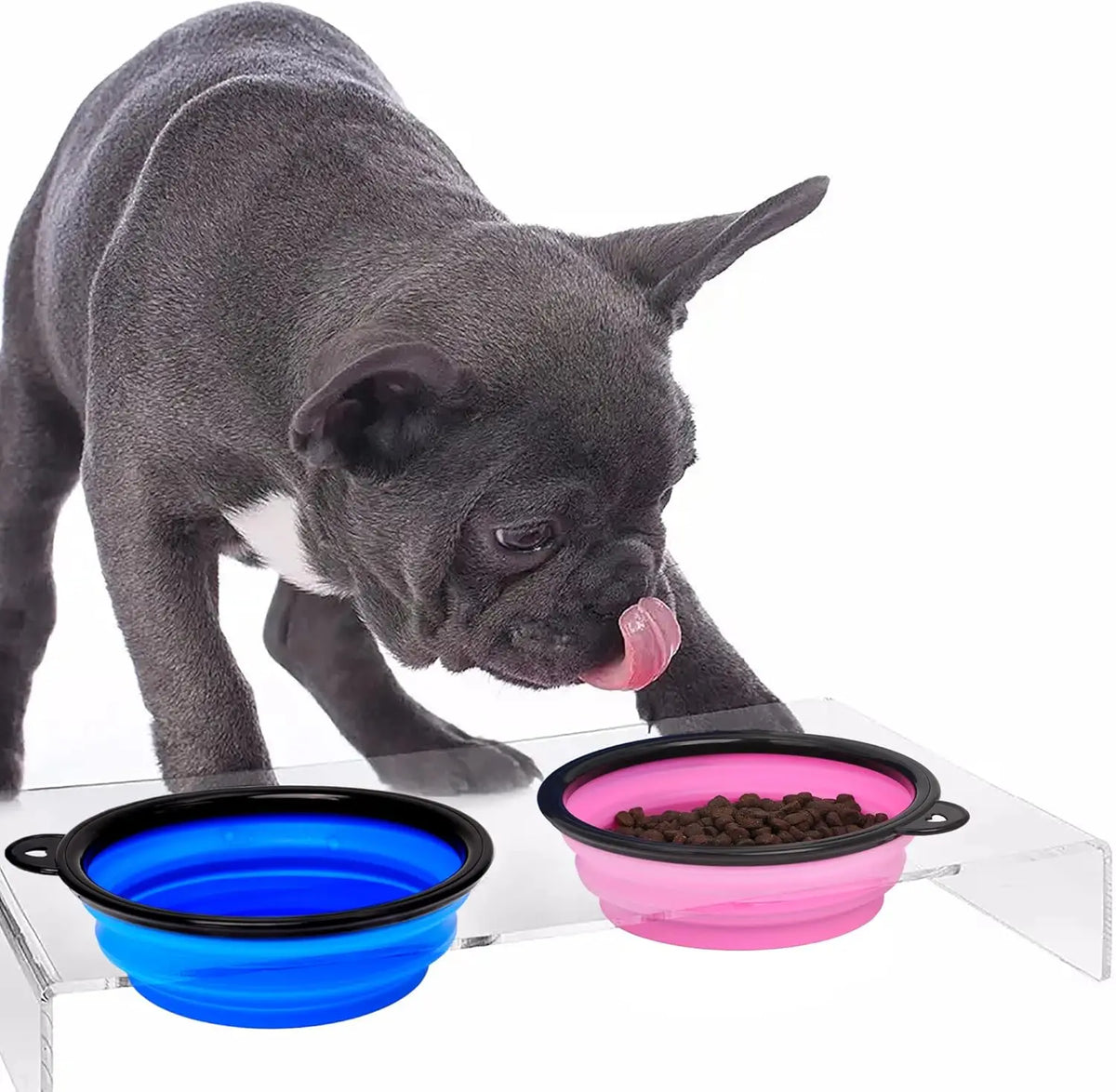 Factory Custom Logo Dog Bowl Pet Collapsible Bowls Portable Pet Feeding Watering Dish for Walking Parking Traveling 13 Oz