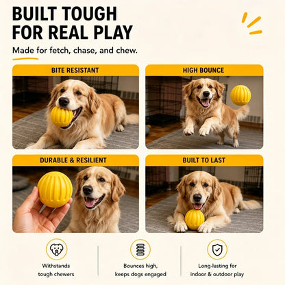 Multi Color EVA Dog Ball with Hole Durable Floating Interactive Chew & Fetch Toy Pet Chew Toys OEM ODM Supported for Bulk Orders