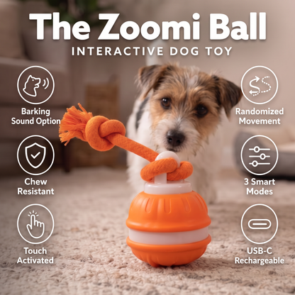 the Zoomie ball – Chew-Resistant Chase Toy