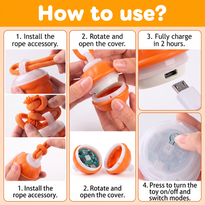 the Zoomie ball – Chew-Resistant Chase Toy
